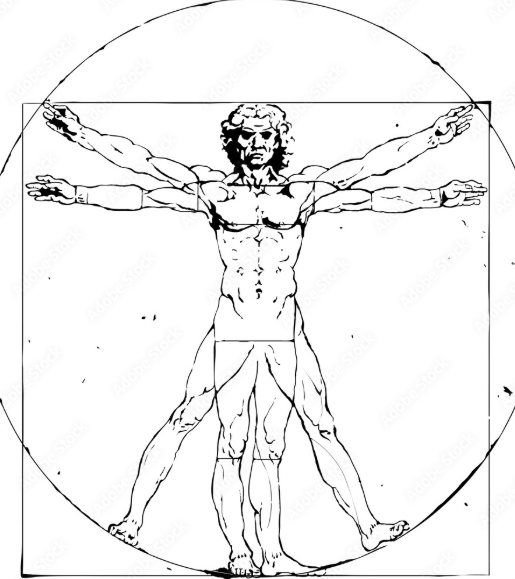 Anatomical Reference 1